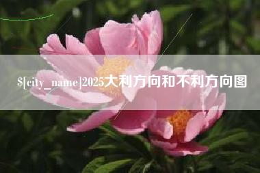 儋州2025大利方向和不利方向图