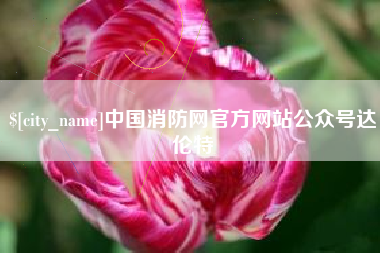 儋州中国消防网官方网站公众号达伦特