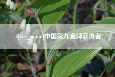 儋州中国第九金牌获得者