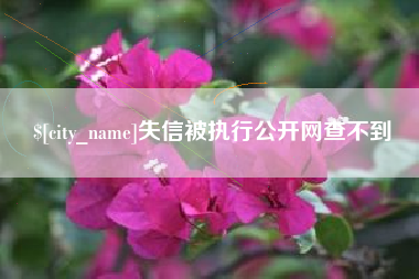 儋州失信被执行公开网查不到