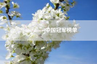 儋州中国冠军榜单
