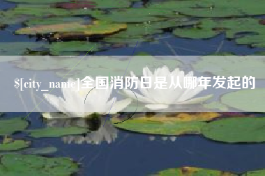 儋州全国消防日是从哪年发起的