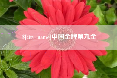 儋州中国金牌第九金