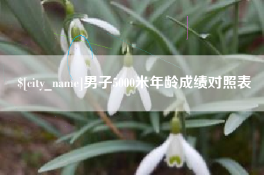 儋州男子5000米年龄成绩对照表