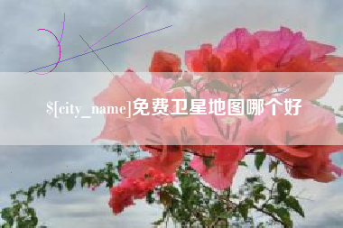 儋州免费卫星地图哪个好