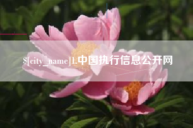 儋州1.中国执行信息公开网