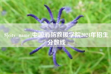 儋州中国消防救援学院2024年招生分数线