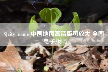 儋州中国地图高清版可放大 全国 电子版吗