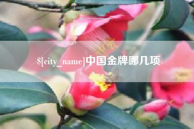 儋州中国金牌哪几项