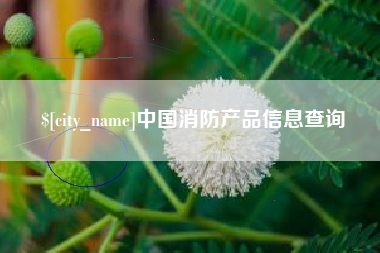 儋州中国消防产品信息查询