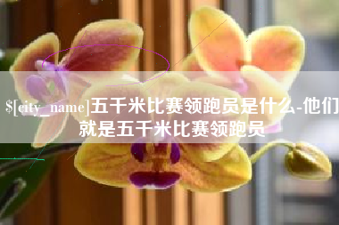 儋州五千米比赛领跑员是什么-他们就是五千米比赛领跑员