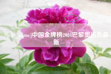 儋州中国金牌榜2024巴黎奥运会最新