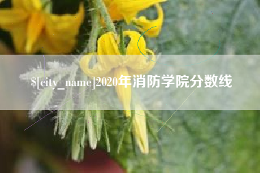 儋州2020年消防学院分数线