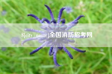 儋州全国消防招考网