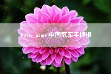 儋州中国冠军手抄报