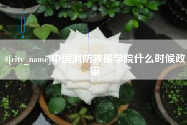 儋州中国消防救援学院什么时候政审