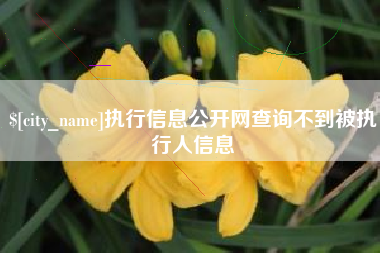 儋州执行信息公开网查询不到被执行人信息