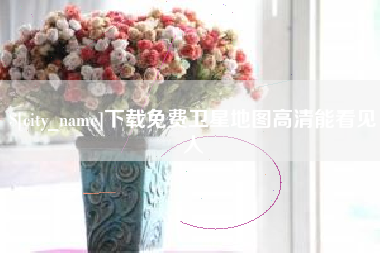 儋州下载免费卫星地图高清能看见人