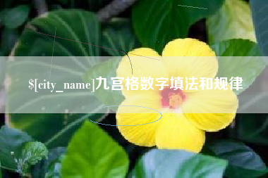 儋州九宫格数字填法和规律