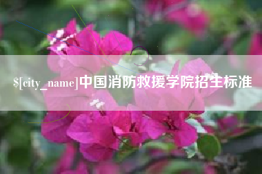 儋州中国消防救援学院招生标准