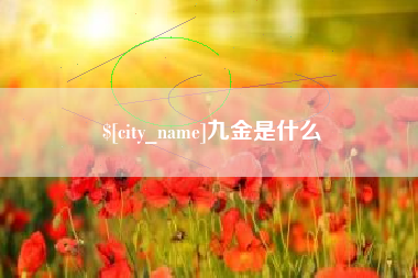 儋州九金是什么