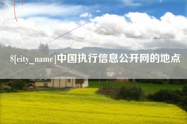 儋州中国执行信息公开网的地点