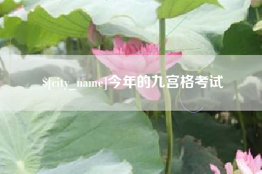 儋州今年的九宫格考试