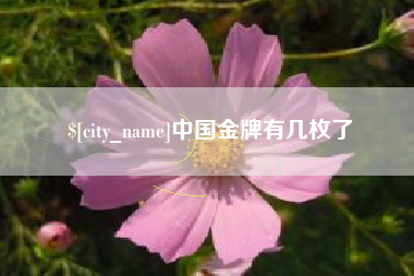 儋州中国金牌有几枚了