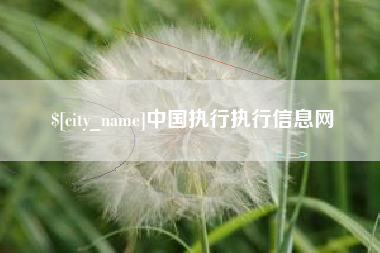 儋州中国执行执行信息网