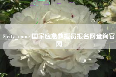 儋州国家应急救援员报名网查询官网