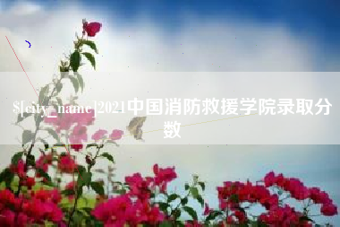 儋州2021中国消防救援学院录取分数
