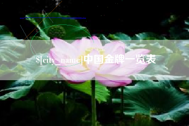 儋州中国金牌一览表