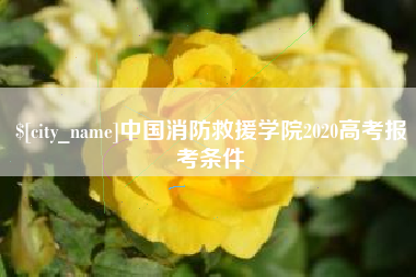 儋州中国消防救援学院2020高考报考条件