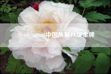 儋州中国队第八块金牌