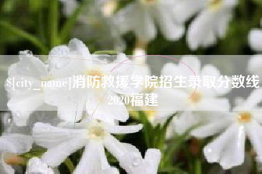 儋州消防救援学院招生录取分数线2020福建
