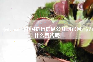 儋州中国执行信息公开网官网app为什么要钱呢