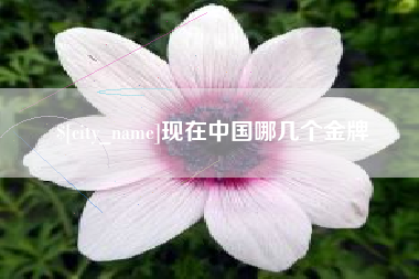 儋州现在中国哪几个金牌