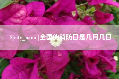儋州全国的消防日是几月几日