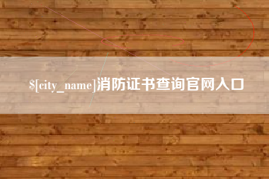 儋州消防证书查询官网入口
