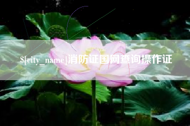 儋州消防证国网查询操作证