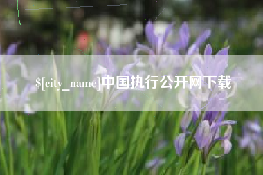 儋州中国执行公开网下载