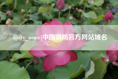 儋州中国消防官方网站域名