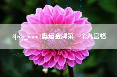 儋州奥运金牌第二个九宫格