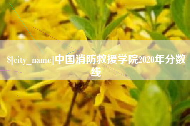 儋州中国消防救援学院2020年分数线