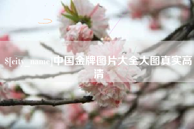 儋州中国金牌图片大全大图真实高清