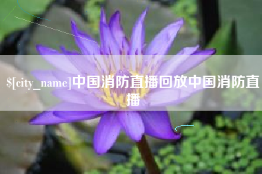 儋州中国消防直播回放中国消防直播