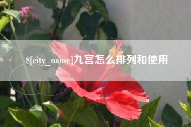 儋州九宫怎么排列和使用