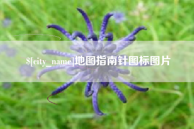儋州地图指南针图标图片