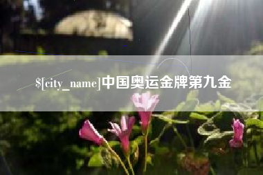 儋州中国奥运金牌第九金