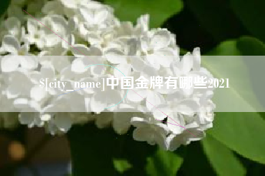 儋州中国金牌有哪些2021